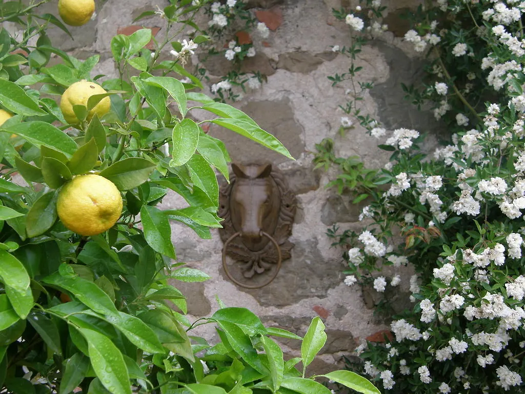 Centro Ippico Della Berardenga Villa Monte Benichi Farm stay Castelnuovo Berardenga