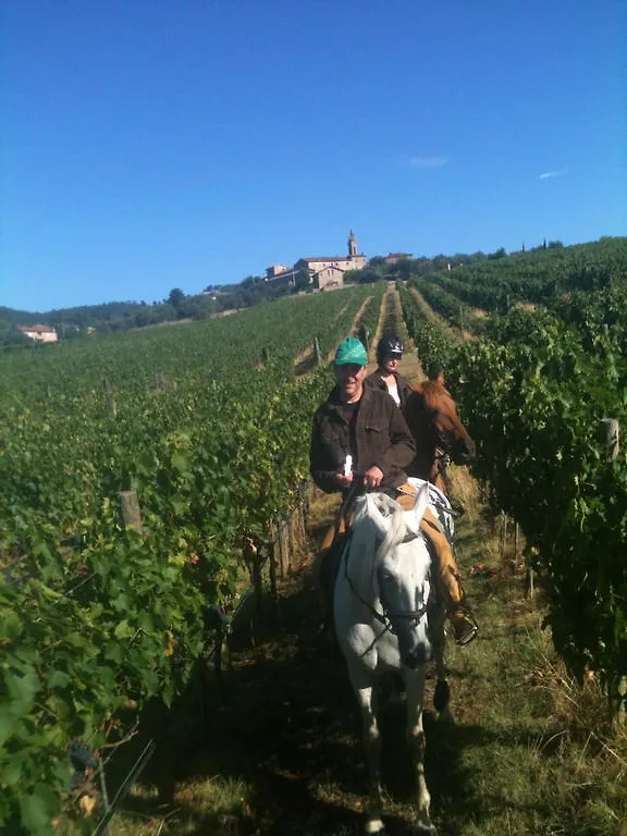 Centro Ippico Della Berardenga Villa Monte Benichi
