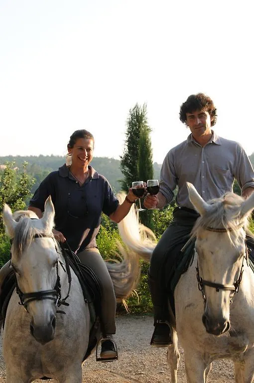 Farm stay Centro Ippico Della Berardenga Villa Monte Benichi